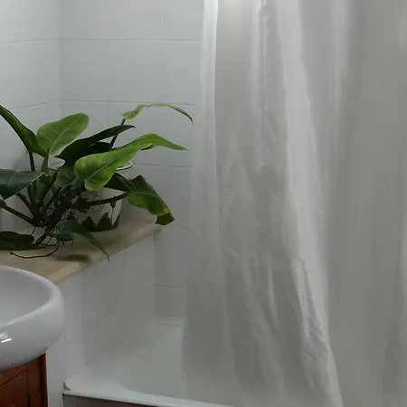 Casa Sao Joao Apartment